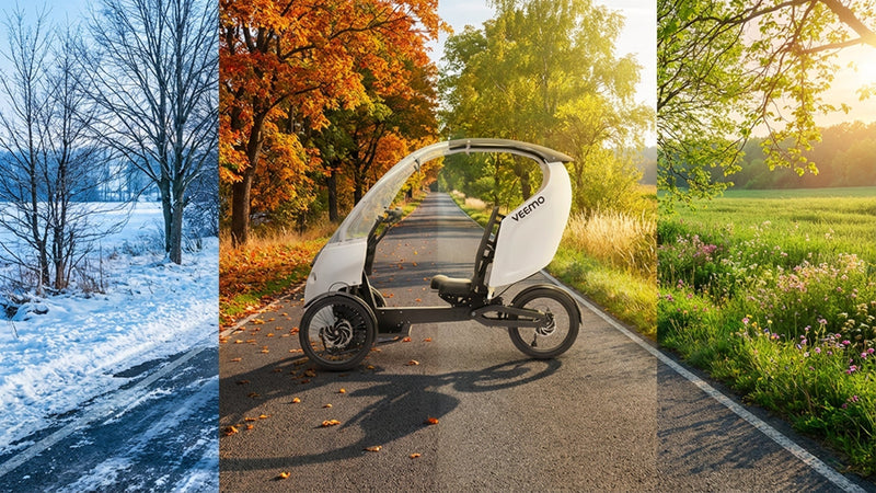 veemo on a 4 season road